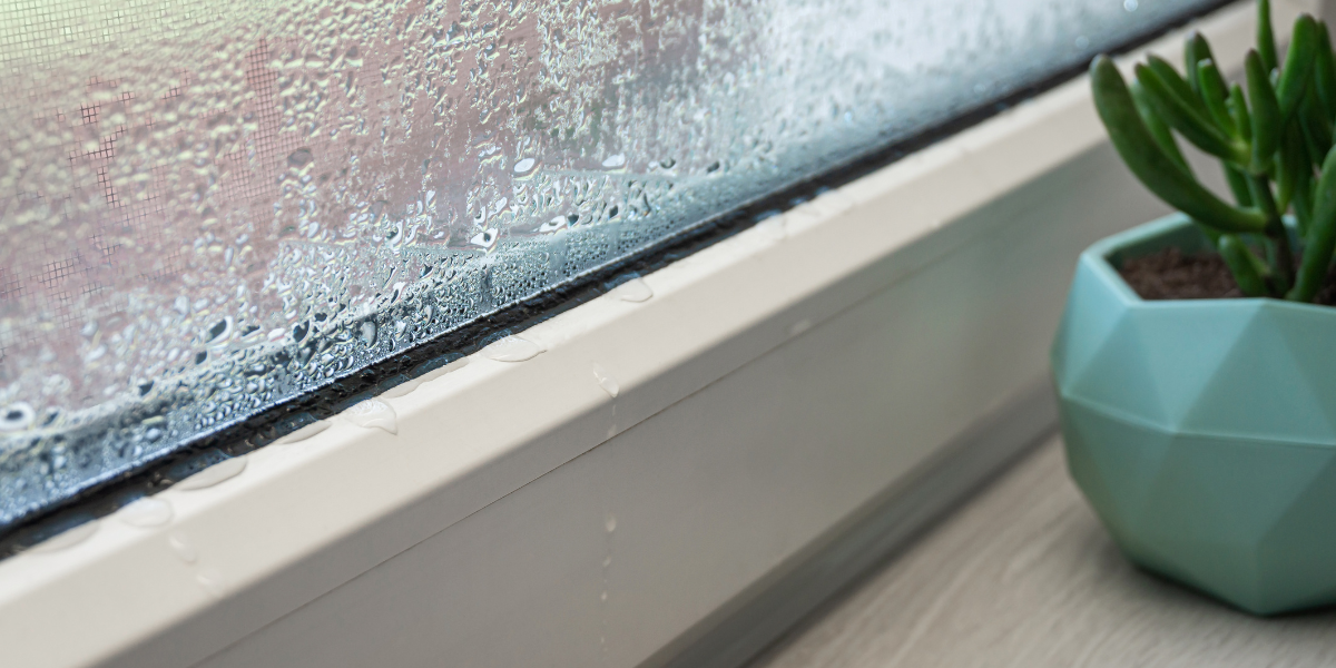 Window with condensation