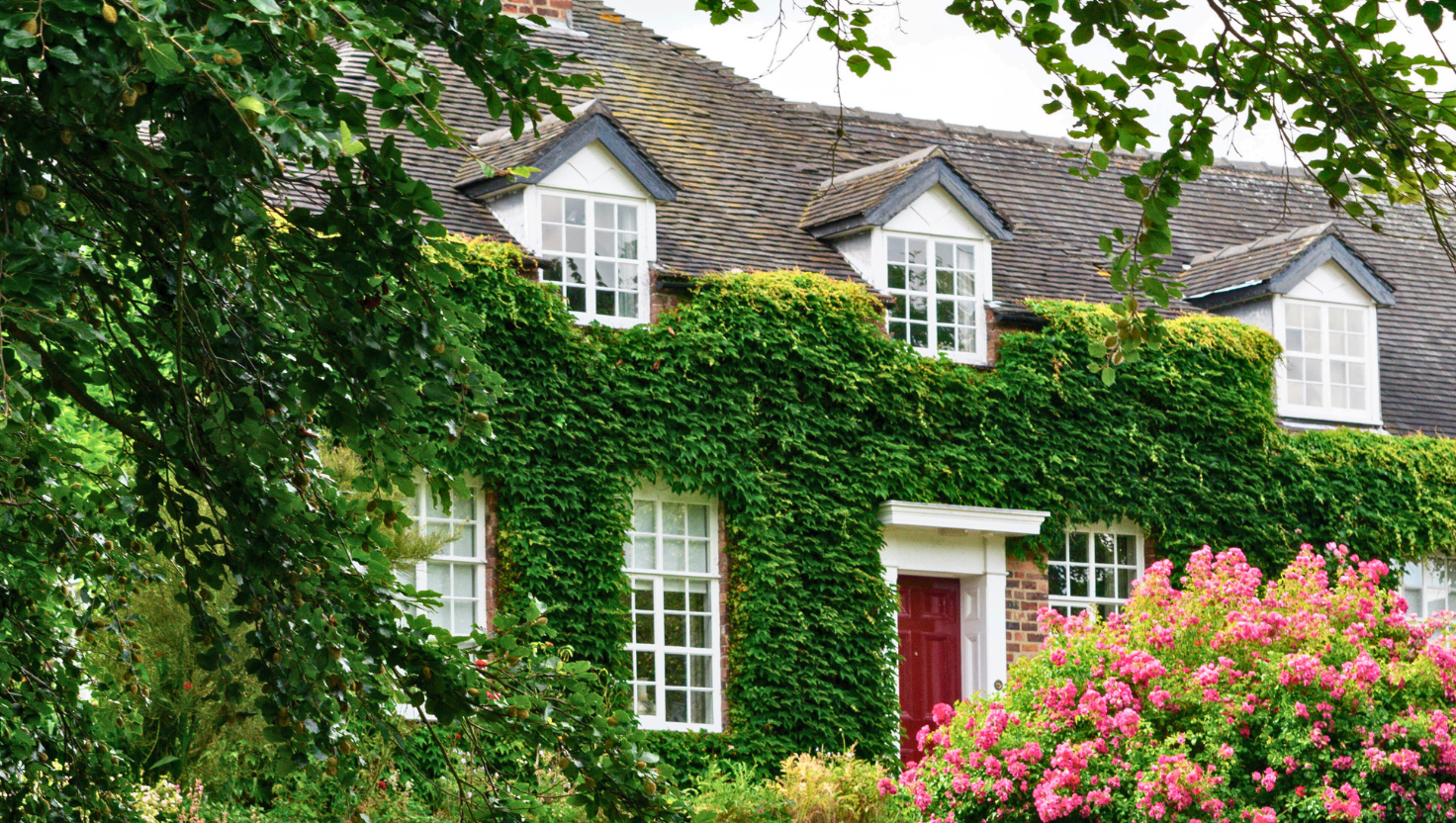 Exterior of two story house with lush greenery and vines growing on the outside.
