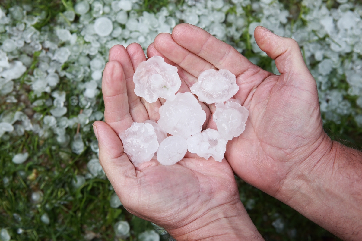 hail damage window replacement Denver